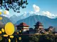 bhutan-embraces-bitcoin-in-national-strategy-hut-8-and-iren-shift-to-ai