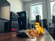 dogecoin-2025-price-surge-expected-cloud-mining-platforms-offer-new-investment-paths
