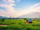 global-bitcoin-mining-texas-noise-issues-zambias-sustainability-bhutans-economic-boost
