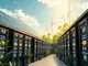 green-crypto-mining-top-companies-leading-sustainable-practices-by-2025-2026