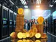 polygon-token-xyzverse-and-dogecoin-drive-new-meme-coin-hype-and-etf-optimism