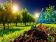 zec-surges-40-after-orchard-fix-is-confidence-in-zcash-restored